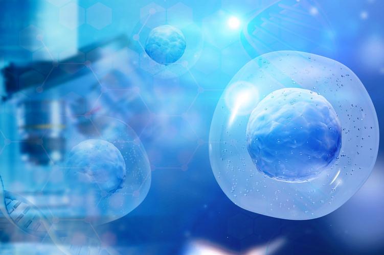 干细胞是一种前沿的高科技产品,也是人类医学领域史